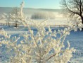 /album/bildgalleri-natur/napfriends3-024-jpg/